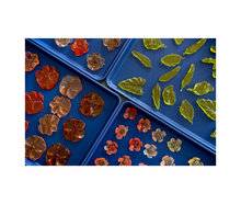 Load image into Gallery viewer, Holy Sheet