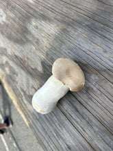 Load image into Gallery viewer, IMG_0159