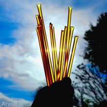 Load image into Gallery viewer, Arvoli Honey Raw Wildflower Honey Sticks