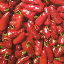 Load image into Gallery viewer, Red Jalapeño Chili Flakes - Burlap & Barrel