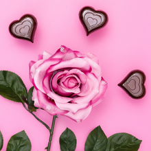 Load image into Gallery viewer, Dark Chocolate Superfood Truffle Cups: Cherry (12 cups) by B.T.R. Bar