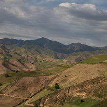 Load image into Gallery viewer, Burlap & Barrel Wild Mountain Cumin