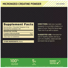 Load image into Gallery viewer, Optimum Nutrition Micronized Creatine Powder