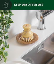 Load image into Gallery viewer, Royal Craft Wood Dish washing brush