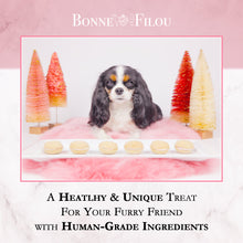 Load image into Gallery viewer, Bonne et Filou Dog Macarons (Box of 6)