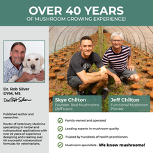 Load image into Gallery viewer, Real Mushrooms 5 Defenders Organic Mushroom Blend Capsules for Pets by Real Mushrooms