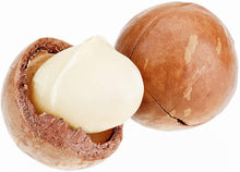 Load image into Gallery viewer, Macadamia.US Treat Of The Day! Organic Macadamia Nuts - Roasted & Sea Salted - 32oz (2LB)