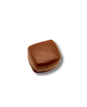 Load image into Gallery viewer, Bixby Chocolate Pecan Caramel Cuties Gift Box
