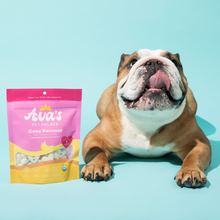 Load image into Gallery viewer, Ava's Pet Palace Organic Baked Dog Treats - Gone Bananas Bag