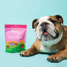 Load image into Gallery viewer, Ava's Pet Palace Freeze Dried Dog Treats Bag - Turkey Poppers
