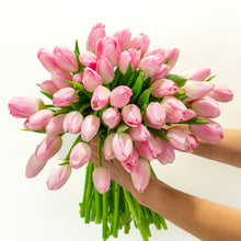 Load image into Gallery viewer, Princess Pink Tulip by BloomsyBox