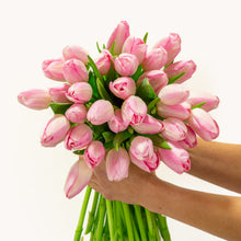 Load image into Gallery viewer, Princess Pink Tulip by BloomsyBox