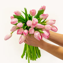 Load image into Gallery viewer, Princess Pink Tulip by BloomsyBox