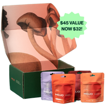 Load image into Gallery viewer, Mojo | Mushroom Dosed Gummies Brain Boost Gummies - The Starter Pack