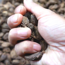 Load image into Gallery viewer, Smoked Black Cardamom - Burlap & Barrel