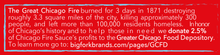 Load image into Gallery viewer, Big Fork Chicago Style Hot Sauce: Chicago Fire Sauce Bottle