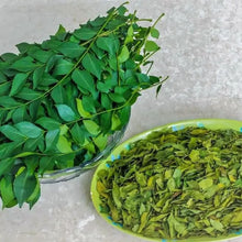 Load image into Gallery viewer, Prasad's Curry Leaf - Burlap & Barrel