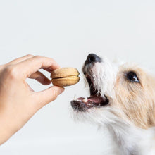 Load image into Gallery viewer, Bonne et Filou Dog Macarons (Box of 6)