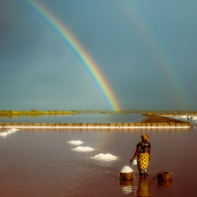 Load image into Gallery viewer, Burlap & Barrel Wind-Blown Sea Salt
