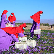 Load image into Gallery viewer, Burlap & Barrel Herati Saffron