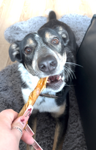 Load image into Gallery viewer, Pezzy Pets Fish Maw Chews Bag, Single Ingredient