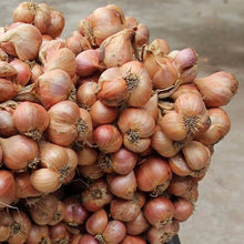 Load image into Gallery viewer, Burlap & Barrel Purple Shallot Slices