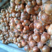 Load image into Gallery viewer, Burlap & Barrel Purple Shallot Powder