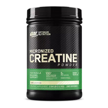 Load image into Gallery viewer, Optimum Nutrition Micronized Creatine Powder