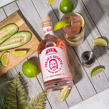Load image into Gallery viewer, Trejo's Spirits Pink Gin Alternative by Trejo's Spirits