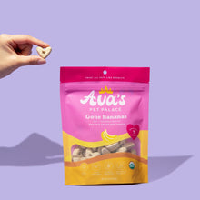 Load image into Gallery viewer, Ava's Pet Palace Organic Dog Treat Bag - Bundle 3 Flavors Bags