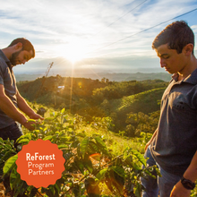 Load image into Gallery viewer, Lil' Red | Decaf Single Origin | Colombia | Swiss Water Press Decaffeinated (Wholesale)