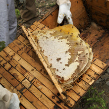 Load image into Gallery viewer, Burlap & Barrel Dark Woodland Honey