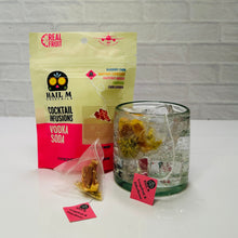 Load image into Gallery viewer, Vodka Soda Infusion Kit – Sugar Free Travel Cocktail Tea Bags