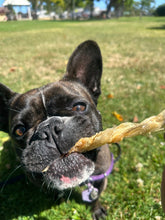 Load image into Gallery viewer, Pezzy Pets Fish Maw Chews Bag, Single Ingredient