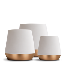 Load image into Gallery viewer, Fellow Joey Double Wall Ceramic Mugs
