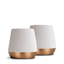 Load image into Gallery viewer, Joey Double Wall Ceramic Mugs-Matte White-8 oz-Set of 2-Fellow