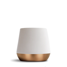 Load image into Gallery viewer, Bold Bean Coffee Roasters Fellow - Double Walled Ceramic Mug