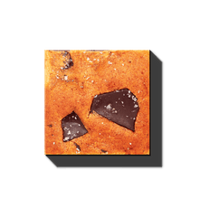 Load image into Gallery viewer, French Squirrel Peanut Butter Chip Cookies - 4 Cookies case