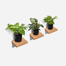 Load image into Gallery viewer, Formr Chopped plant shelf