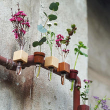 Load image into Gallery viewer, Bumble Plants Nevada 2-Combo Wooden Magnetic Vase