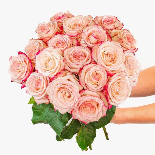 Pink Roses - 12 count