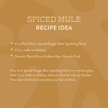 Load image into Gallery viewer, Root Elixirs Sparkling Spiced Apple Premium Cocktail Mixer *Limited-edition - 24 Cans (7.5 oz)