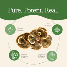 Load image into Gallery viewer, Real Mushrooms Turkey Tail Extract Capsules for Pets by Real Mushrooms
