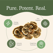 Load image into Gallery viewer, Real Mushrooms Turkey Tail Mushroom Capsules by Real Mushrooms