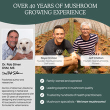 Load image into Gallery viewer, Real Mushrooms Mushroom Immune Pet Chews by Real Mushrooms