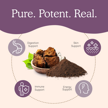 Load image into Gallery viewer, Real Mushrooms Organic Chaga Extract Powder by Real Mushrooms