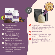Load image into Gallery viewer, Real Mushrooms Organic Chaga Extract Capsules by Real Mushrooms
