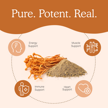 Load image into Gallery viewer, Real Mushrooms Organic Cordyceps Extract Capsules by Real Mushrooms