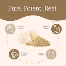 Load image into Gallery viewer, Real Mushrooms Organic Lions Mane Extract Capsules for Pets by Real Mushrooms