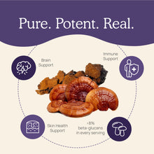 Load image into Gallery viewer, Real Mushrooms Mushroom D2Z by Real Mushrooms